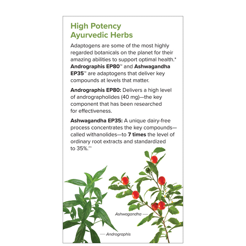 Andrographis and Ashwagandha 60 Caps